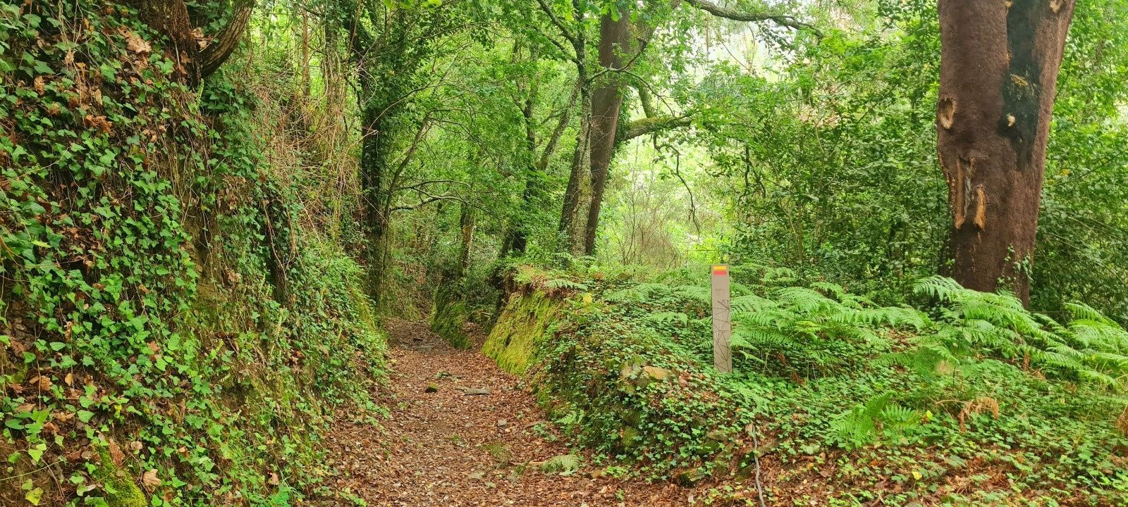 2 casas em pedra, xisto e lousa em ambiente natural