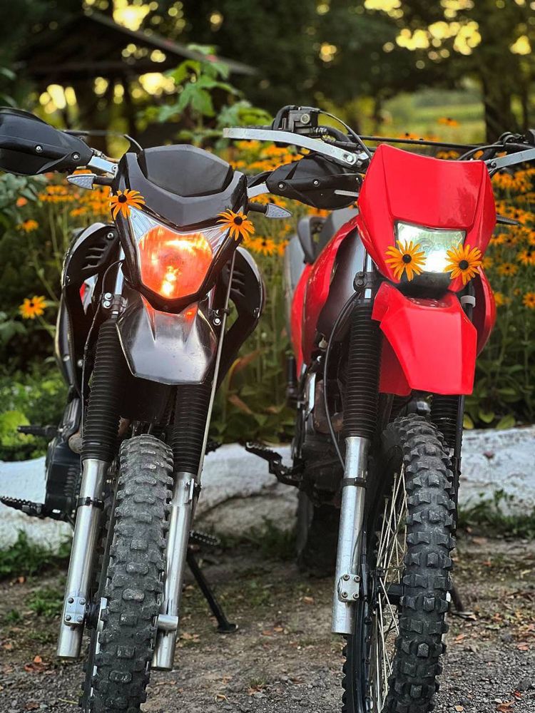 Spark 250 D-2 2021
