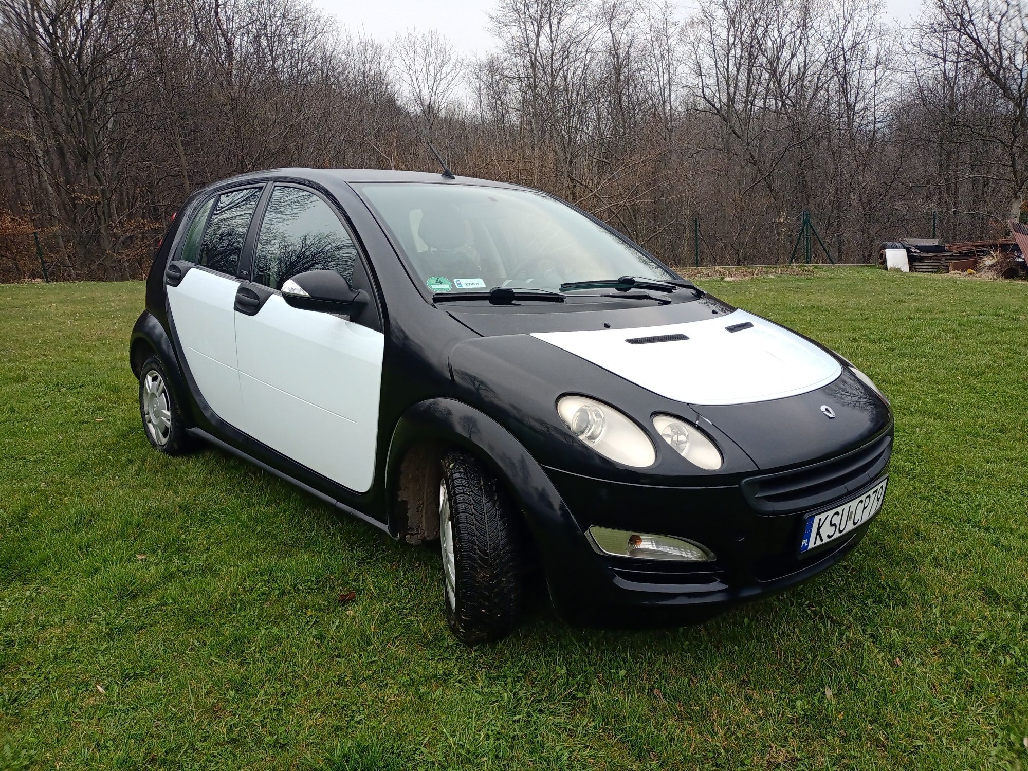 Smart Forfour 1.3