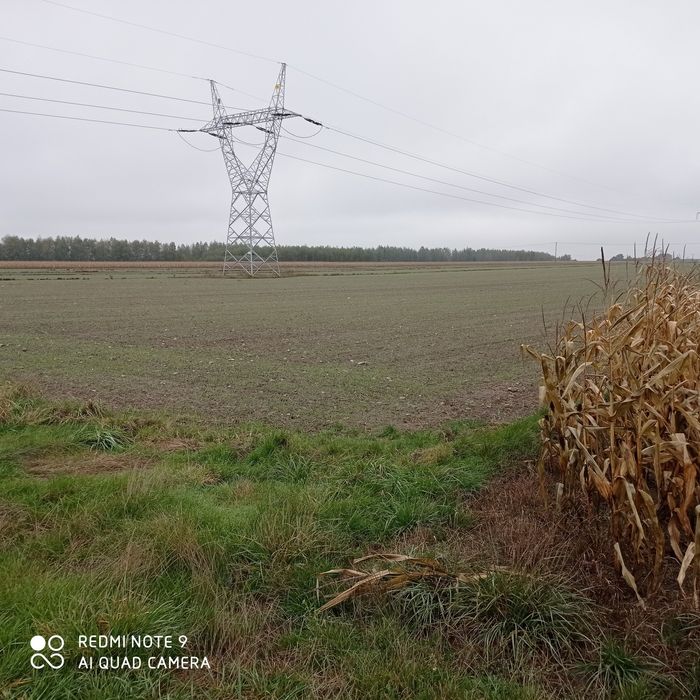 Działka miejsce na reklamę S8/A1 Rzgów