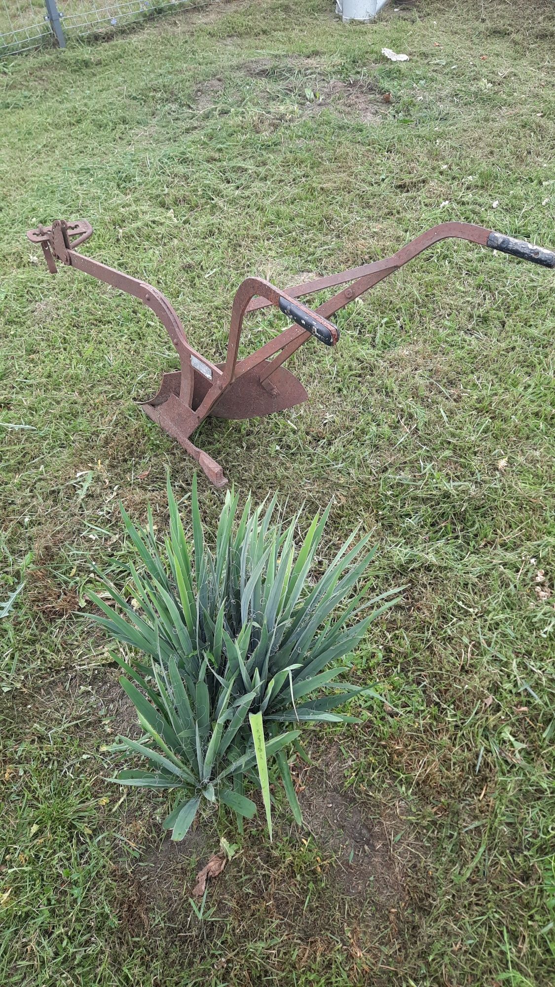 Pług konny 1 skibowy+2 konewki i kanka.