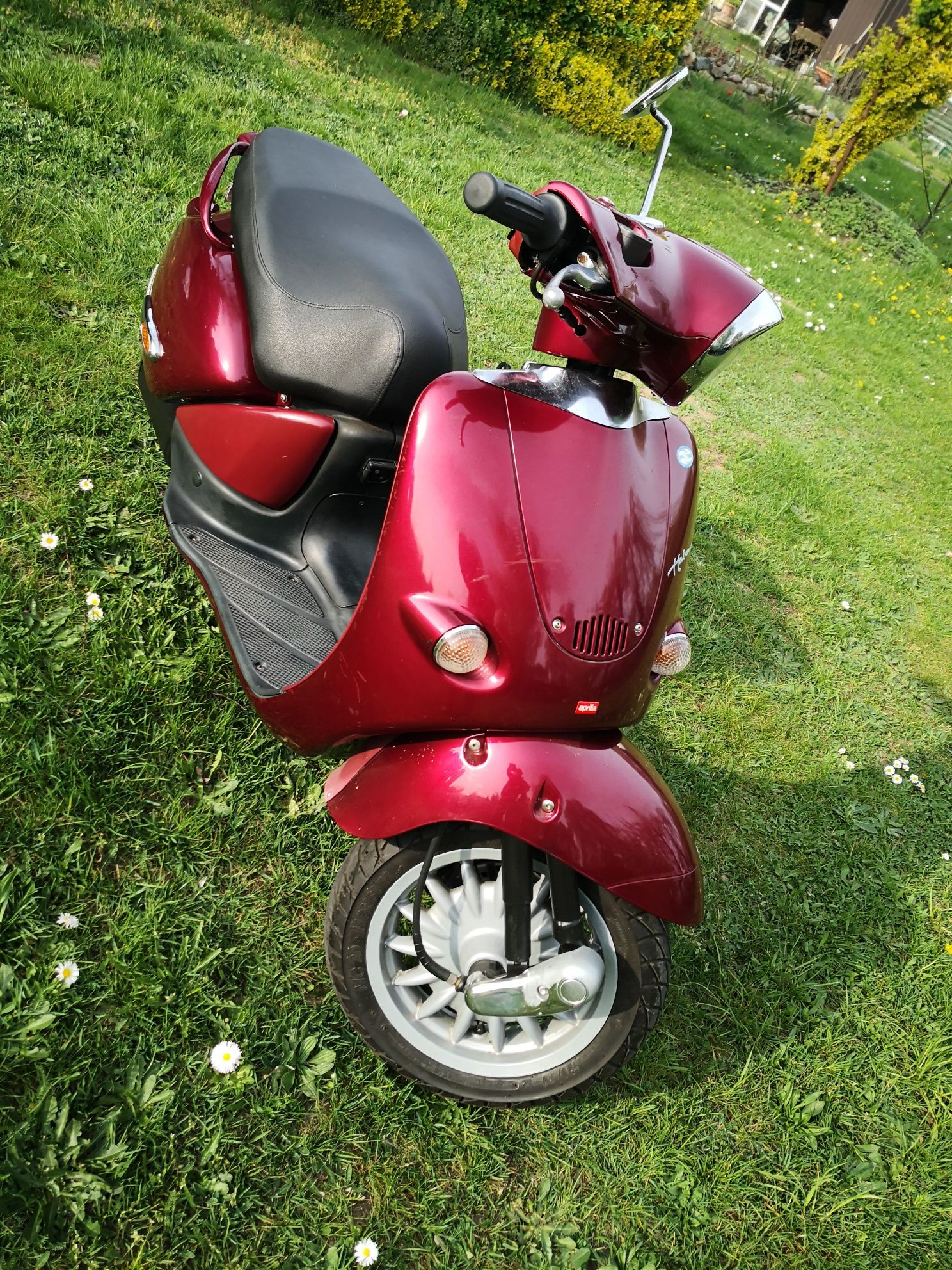 Markowy skuter Aprilia, Piaggio..
