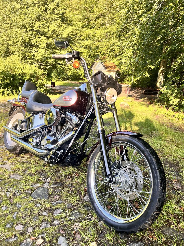 Harley Davidson Softail Custom 2007   1.6.   Super stan