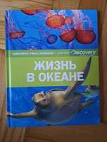 Discovery. Życie w oceanie (po rosyjsku)
Nowy z metką