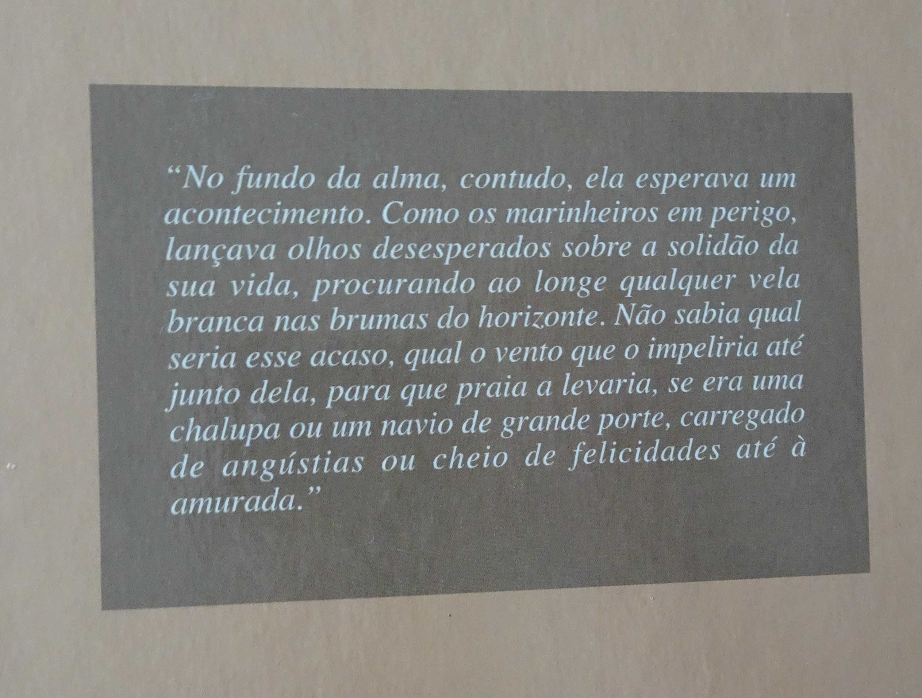 Madame Bovary / Salammbô de Gustave Flaubert