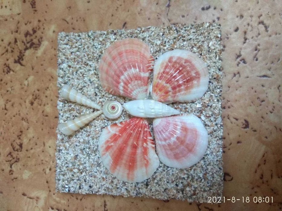 поделка из ракушки