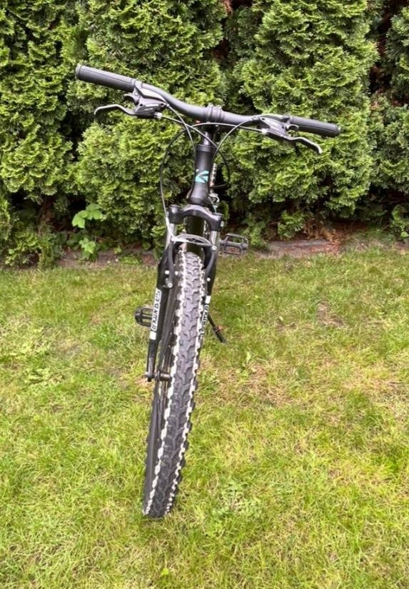 Rower Kands Monster