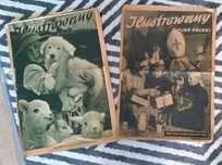 gazety Generalna Gubernia Kraków Ilustrowany Kurjer Polski, rzesza