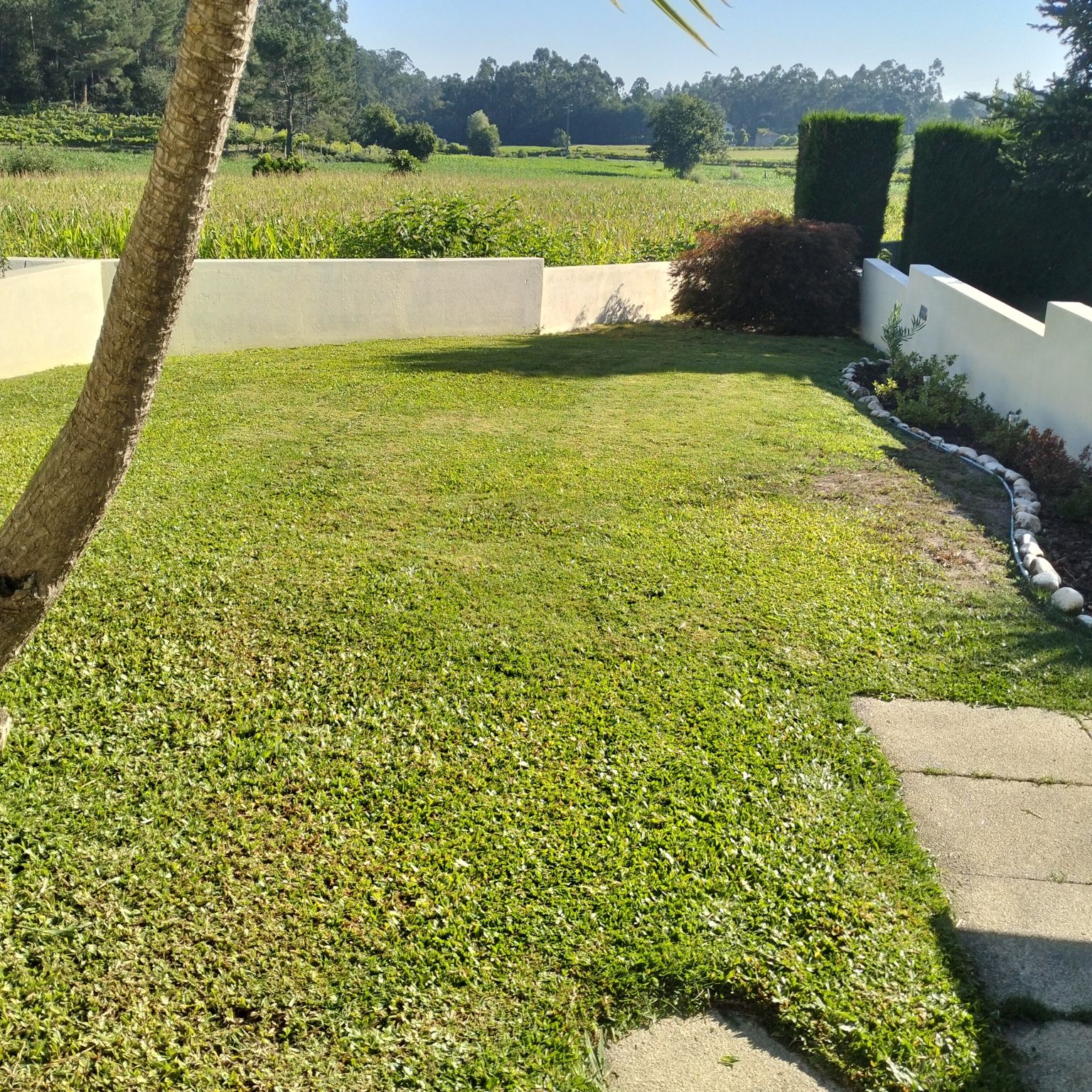 Manutenção de Jardins, apartir de 60€