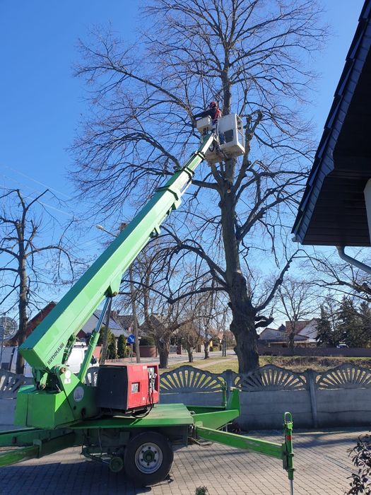 Wycinka Drzew. Prace Ogrodnicze. Transport Drewna. Podnośnik Koszowy.