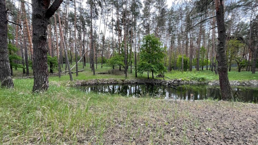 Продаж ділянки з сосновим лісом та виходом до річки Стугна та Дніпро