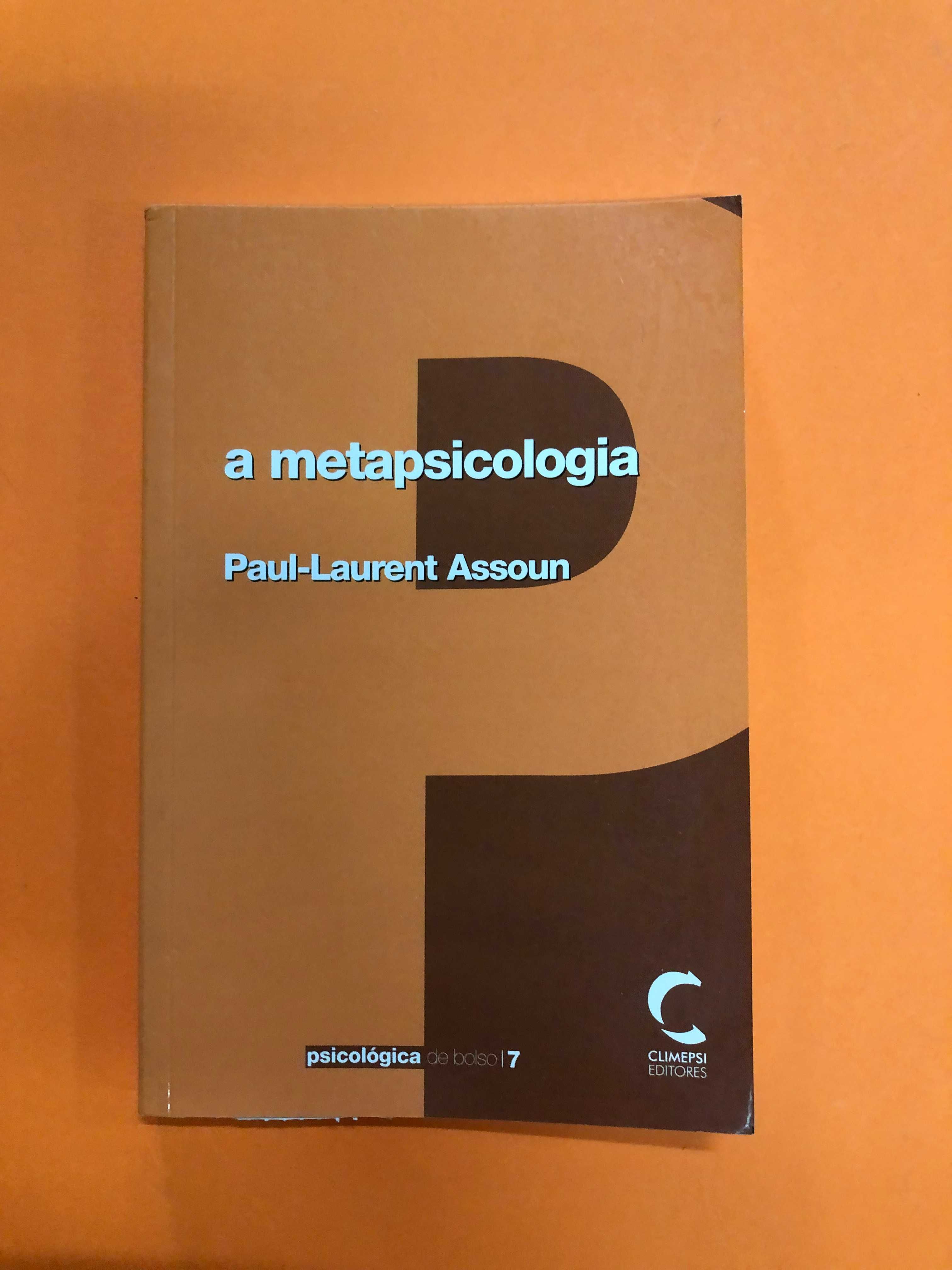 A metapsicologia - Paul-Laurent Assoun