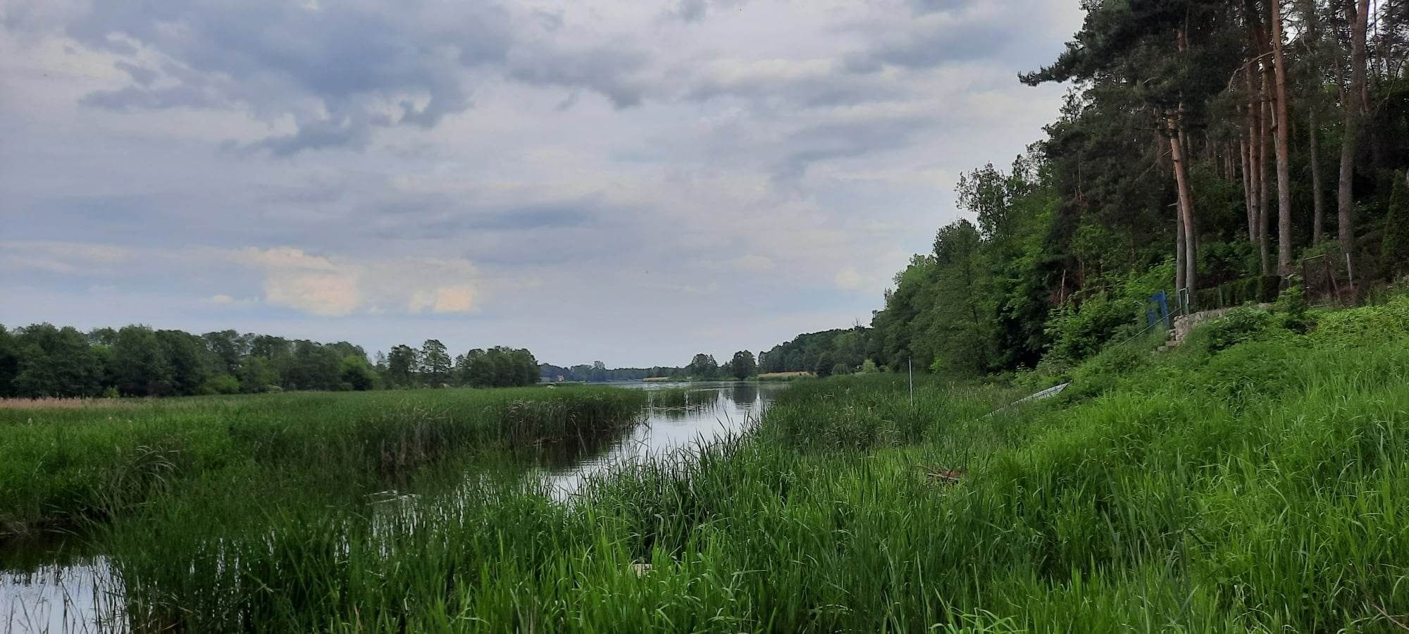 Wynajmę domek letniskowy 6 osobowy nad Narwią blisko Warszawy