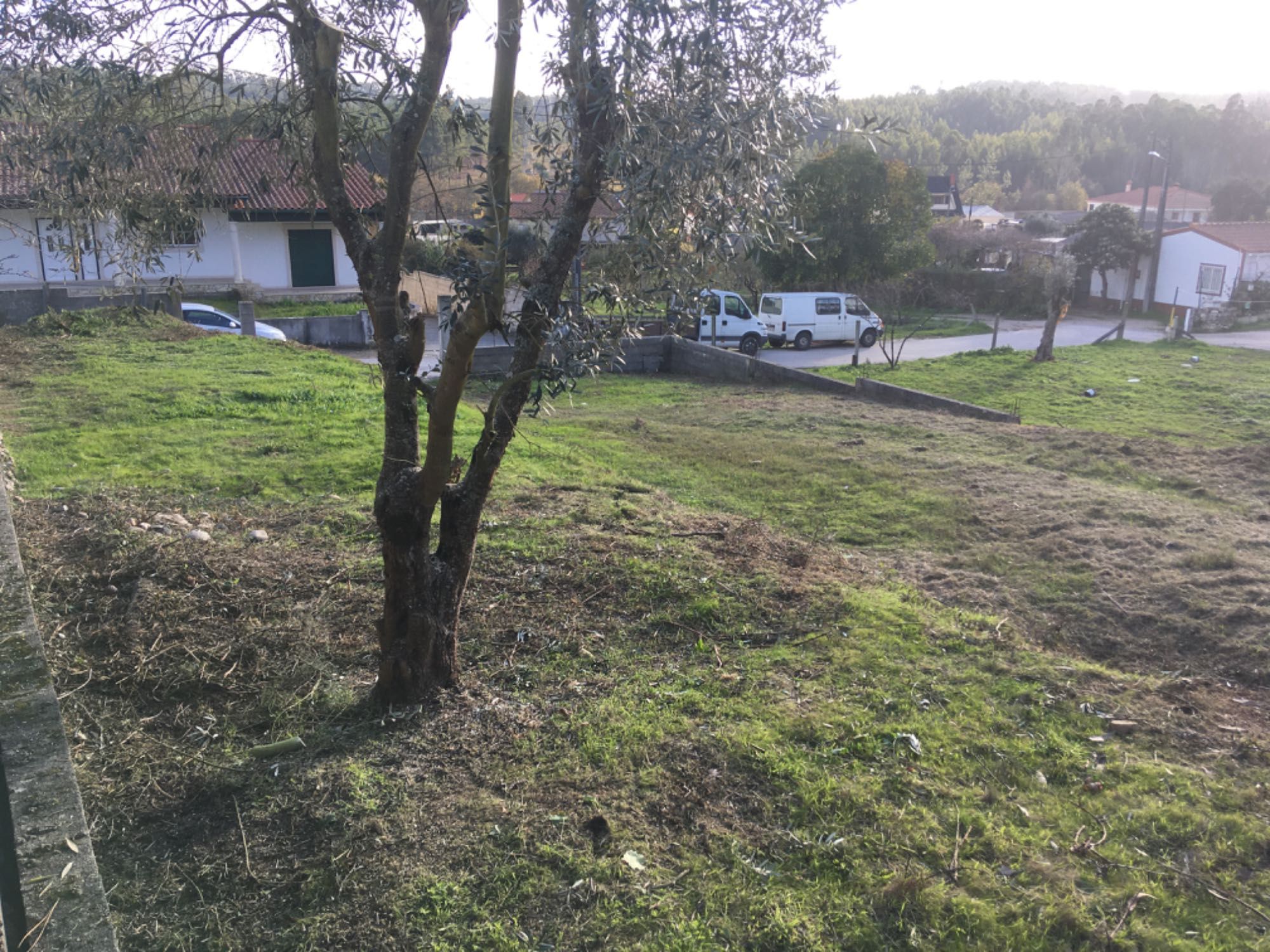 Terreno para casa pré-fabricada ou moradia Picheleiro, Leiria 650M2