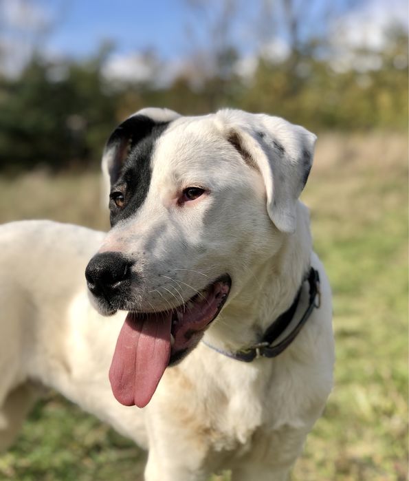 Set sxuka odpowiedzialnego domu