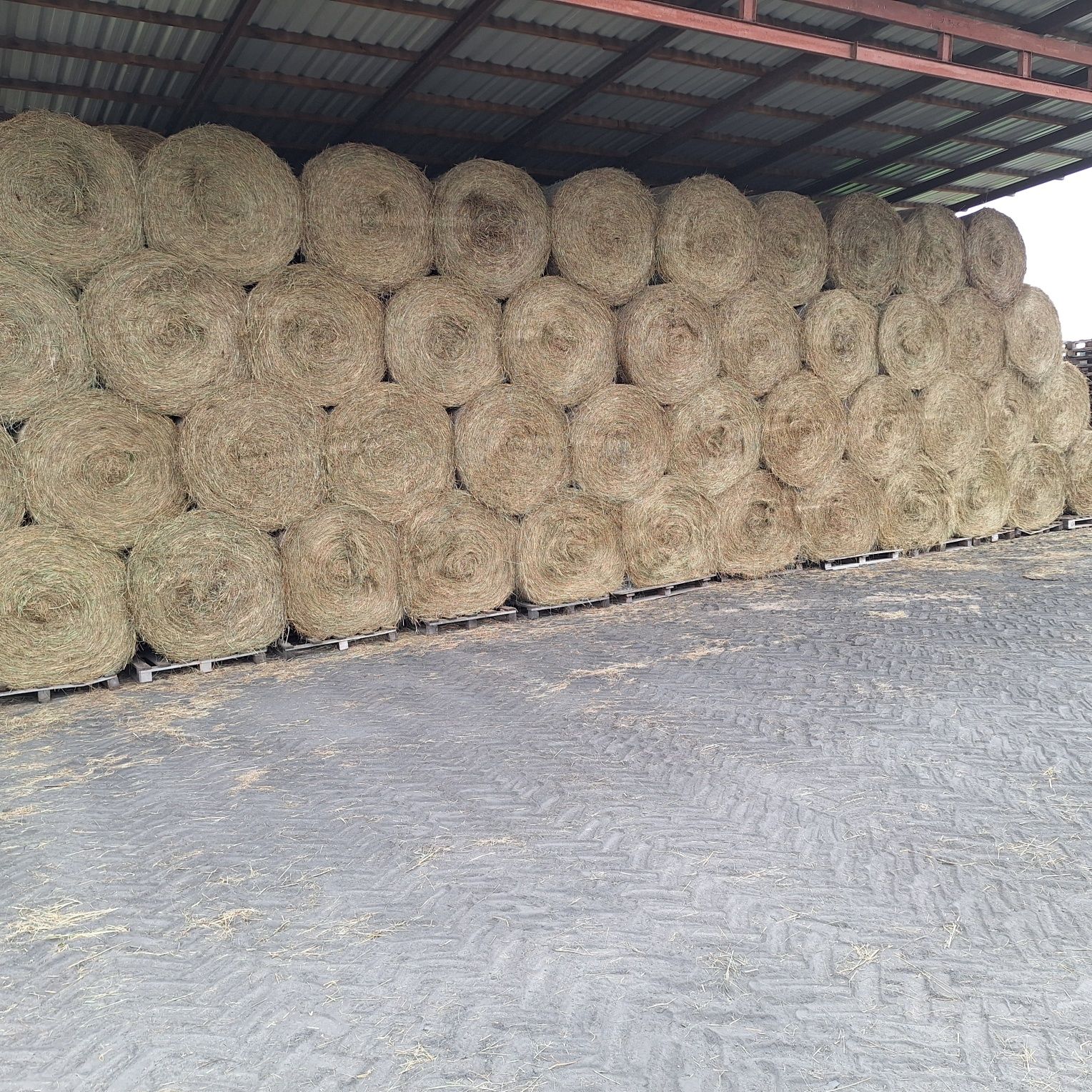 Sprzedam siano 120x125 super  jakości