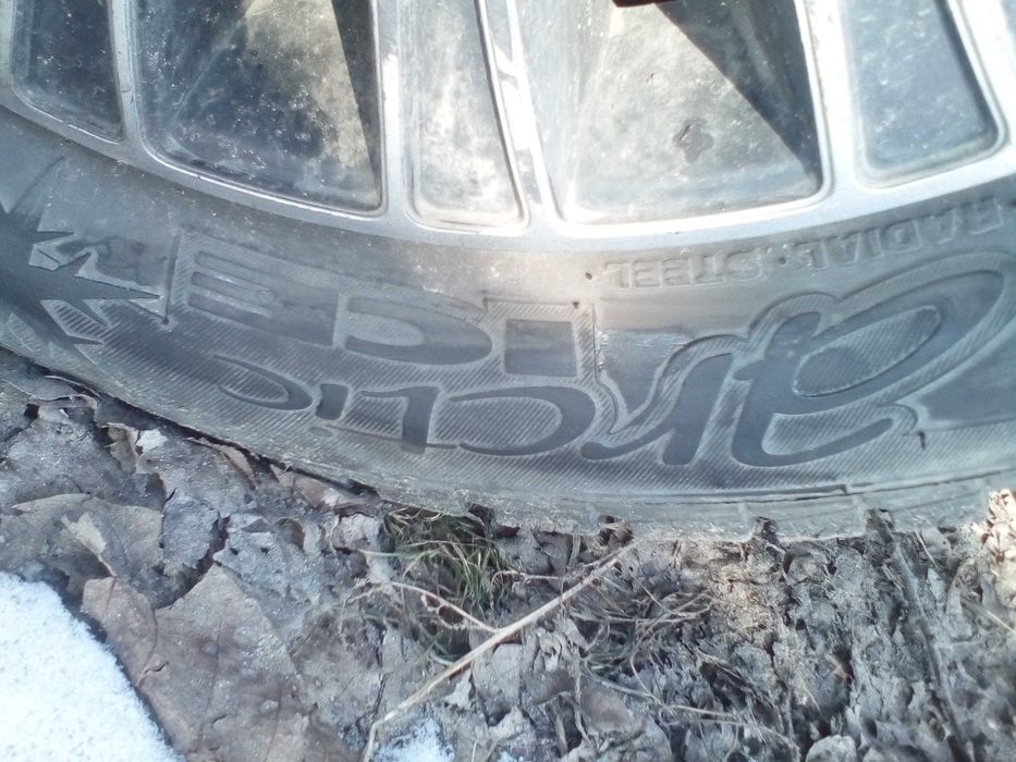 Резина 155.70.13 зима славута Таврия пара Арктика