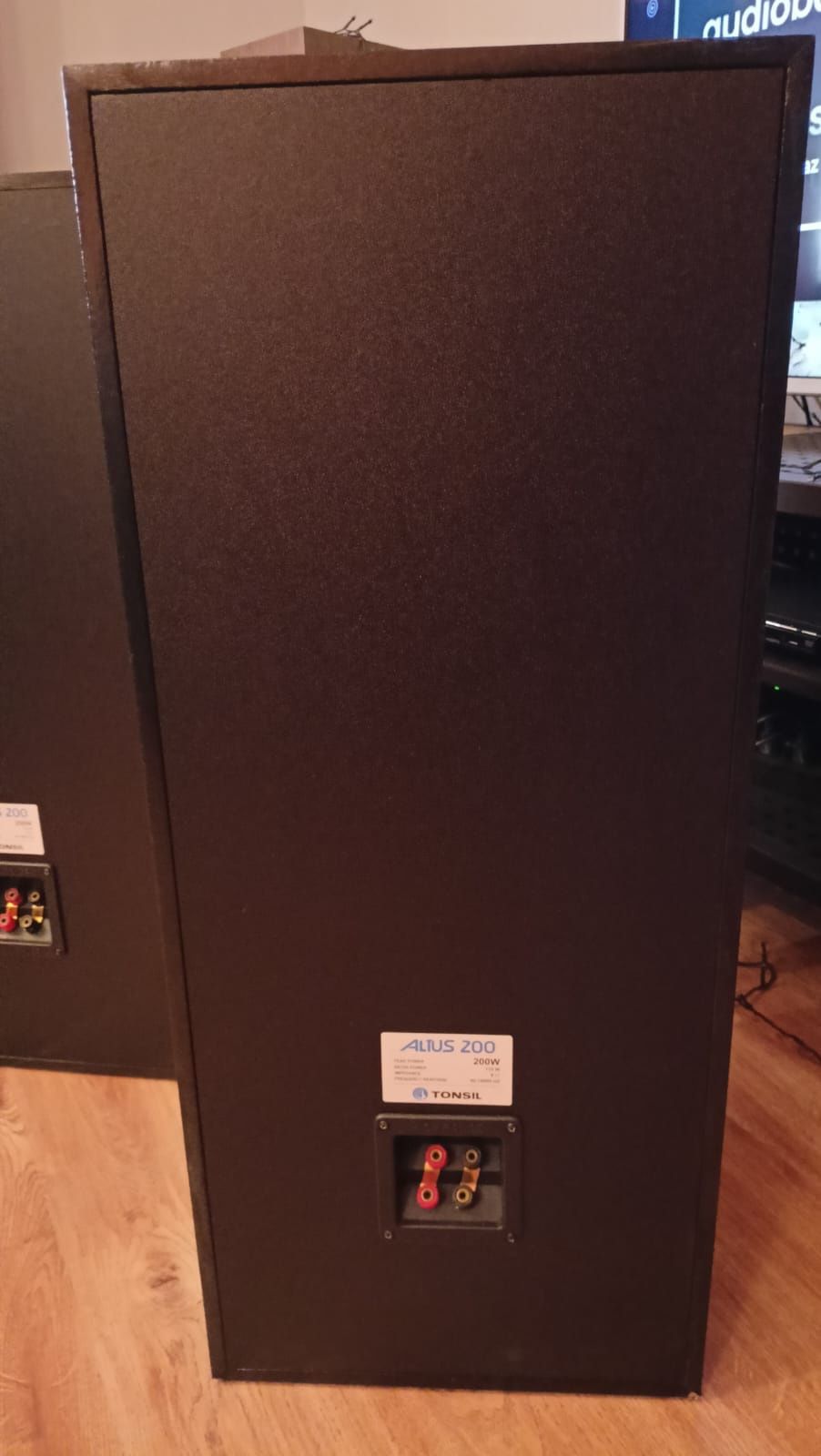 Kolumny Tonsil altus 200