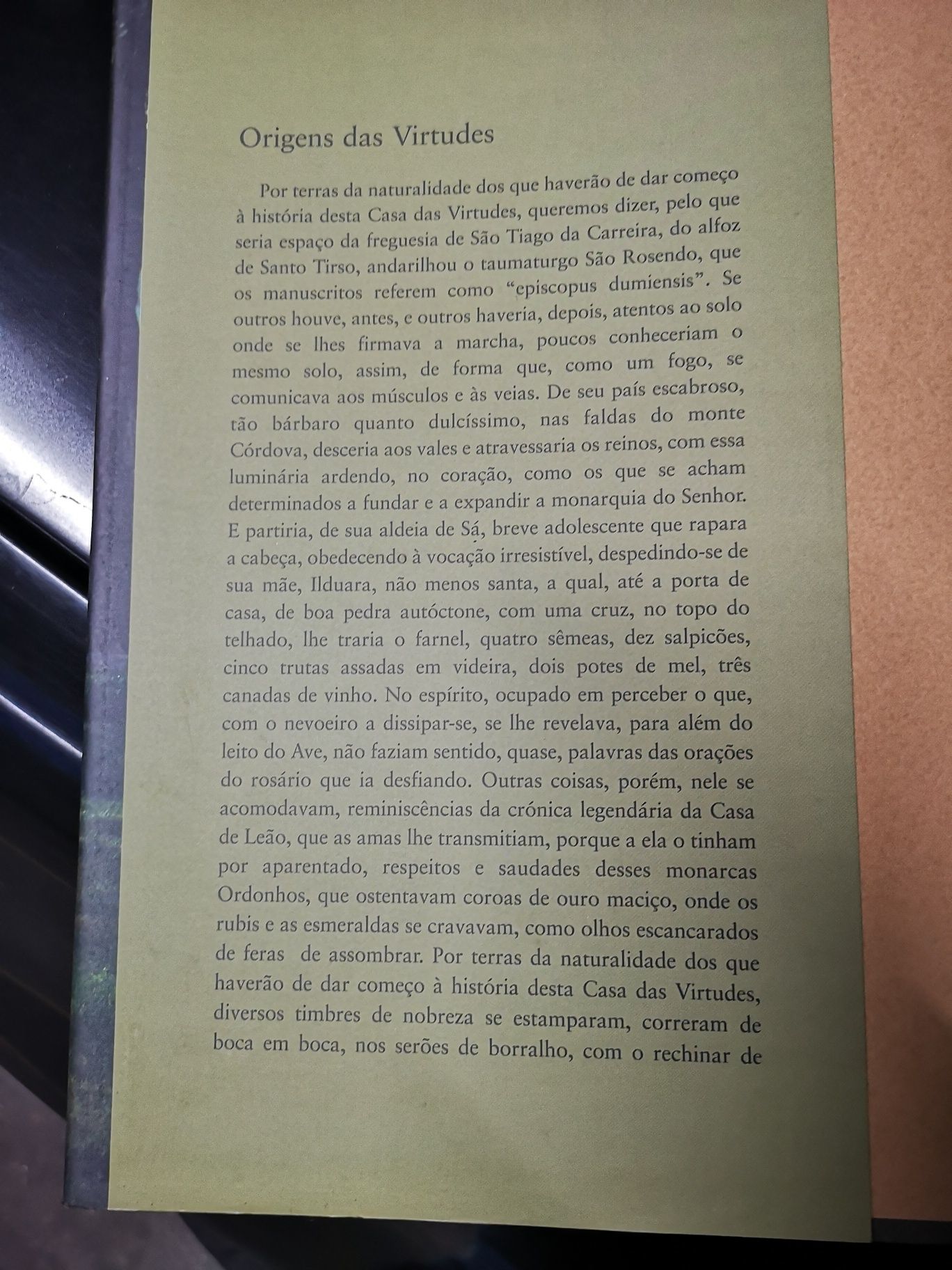 Livro arvore