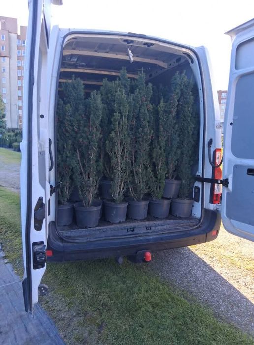 Transport Przewóz towarów busem i Transport busem