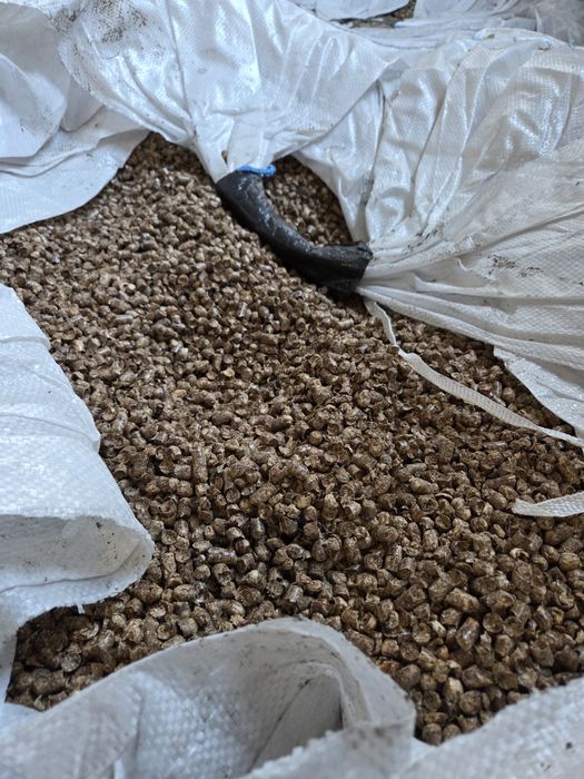 Гранули паливні, пелети з деревини