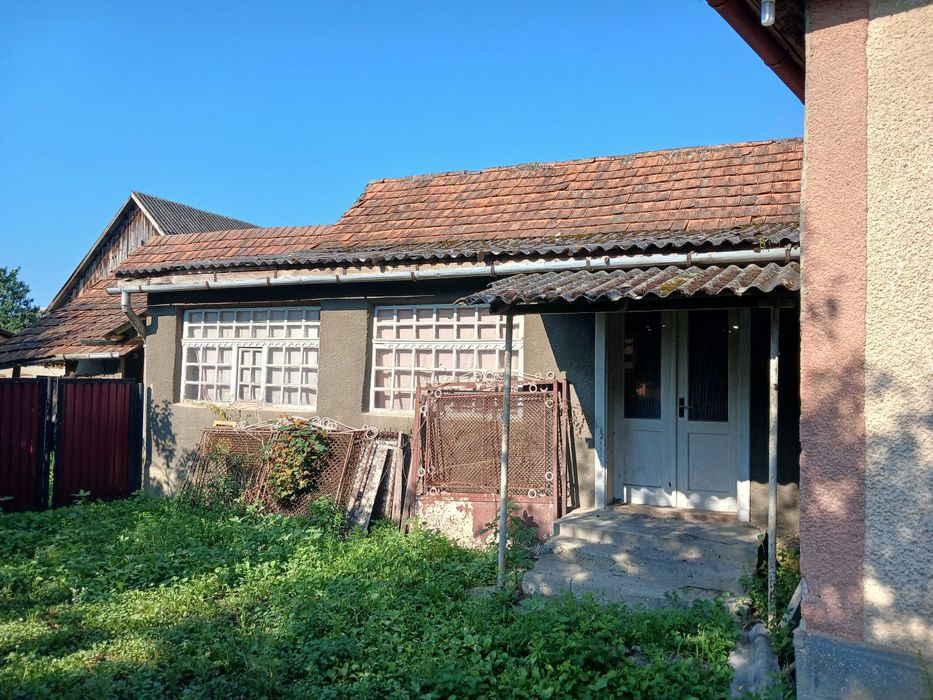 Будинок під бізнес та житло в затишному селі Берегівщини (ліс, озеро).