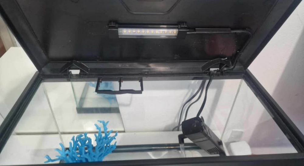 Aquário 15L com filtro, iluminação LED e decoração