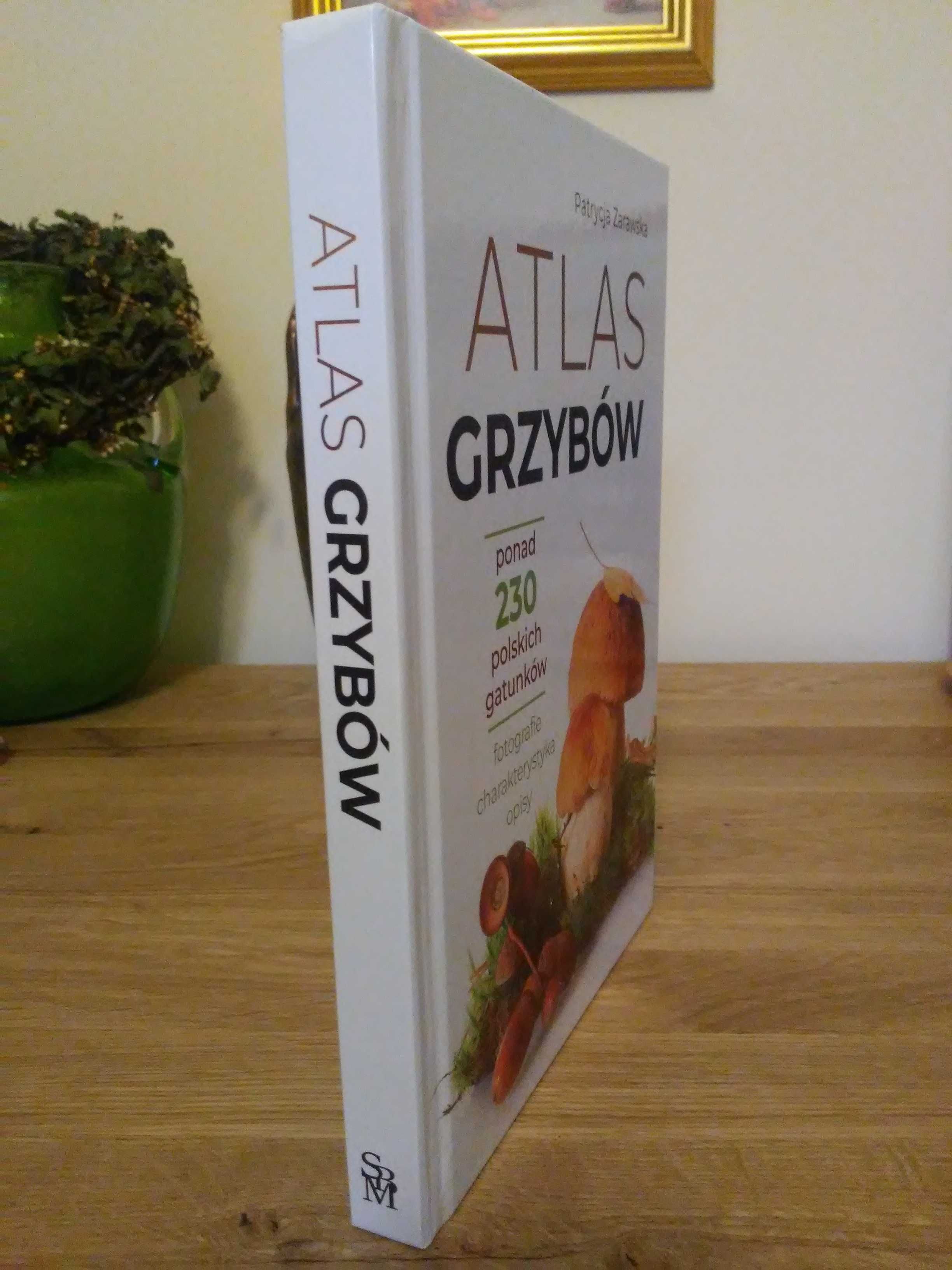 Atlas grzybów, Patrycja Zarawska