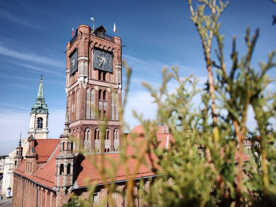Sala szkoleniowa, sala wykładowa, konferencyjna, biuro