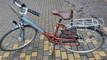 Rower damski Batavus