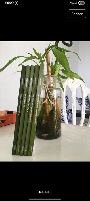 Lote Verde | Desembarques e Defesa (5 livros)