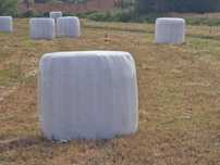 Rolos de fenosilagem