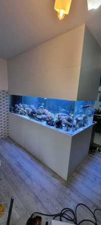 Akwarium morskie 2000l opti stelaz sump
