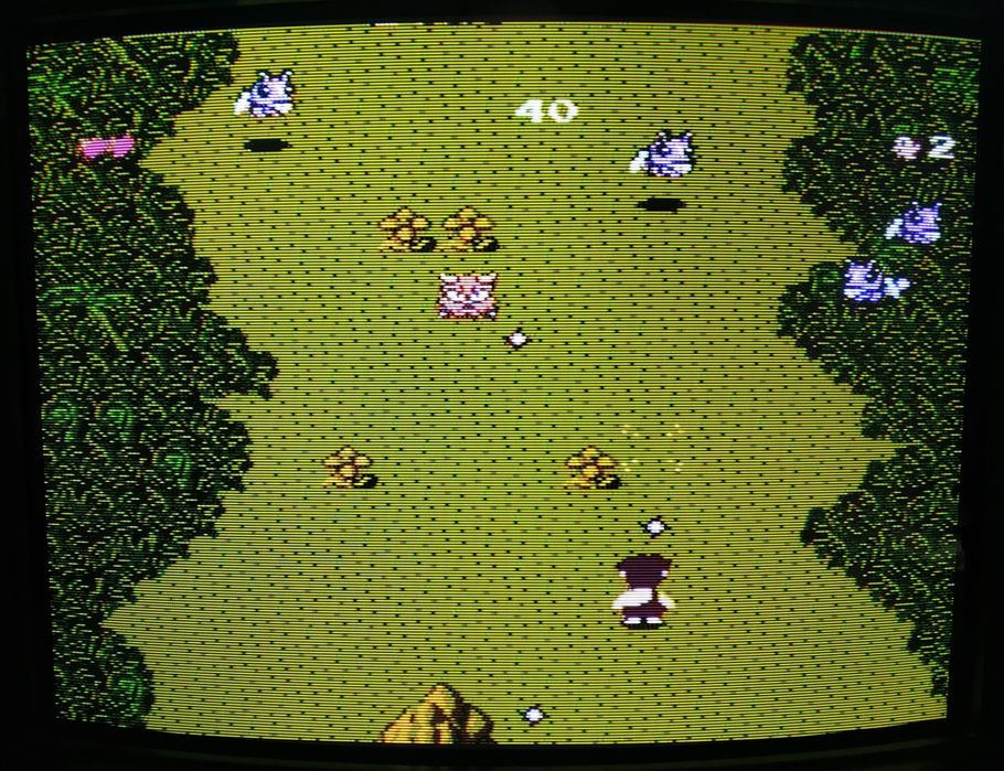 Sony BVM-14G5E 14" – Referencyjny ekran CRT do retro gamingu