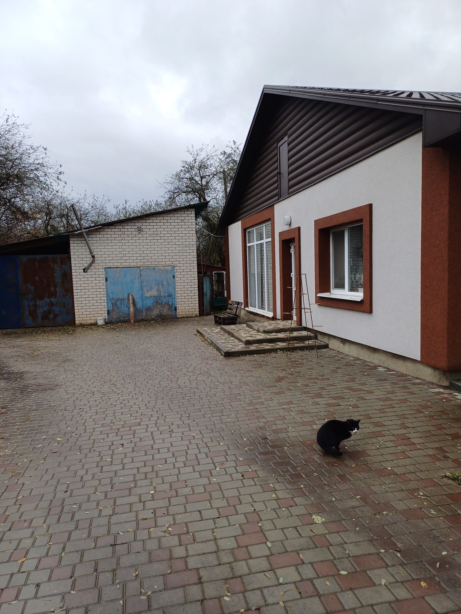 Продам будинок в селі Чорноглазівка