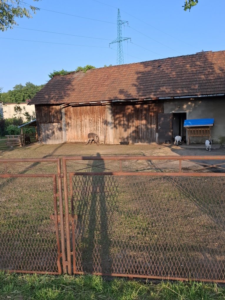 Nocleg ,noclegi  Agroturystyka  Zawadka min.2 doby/Wadowice /Zator/ En