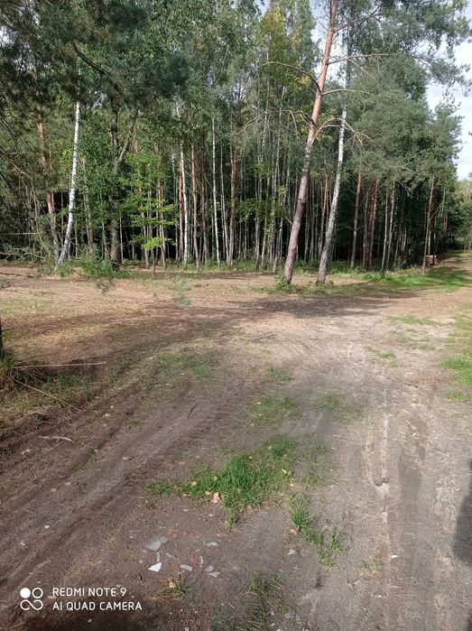 Działka z WZ w Dąbrówce ul. Wesoła