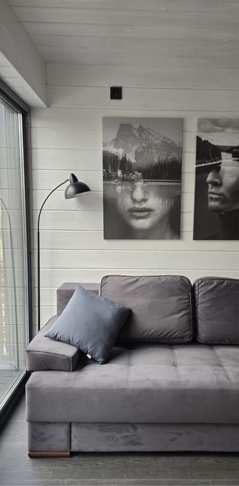 Оренда котеджу в Карпатах з безлімітним чаном