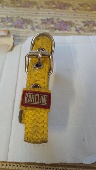 Ремiнець для самих маленьких собак