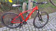 Bicicleta COLUER