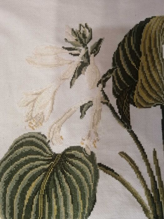 Вишивка "Хоста розквітла"