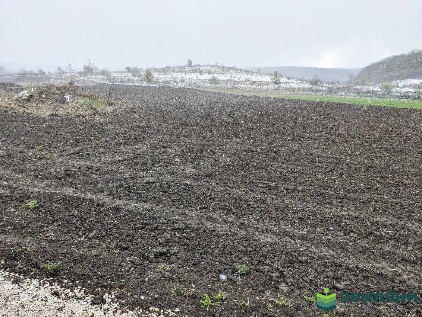 Продаж землі 32,87 сотки в с.Клубівці під забудову