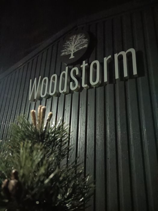 Nowoczesny domek narzędziowy Woodstorm