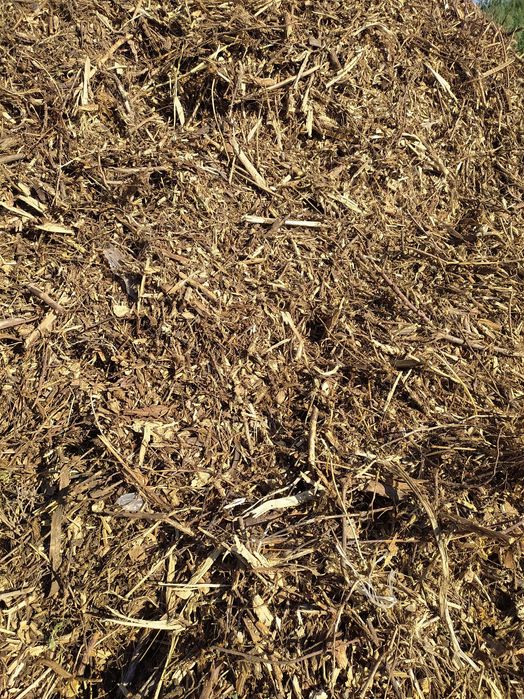 Zrębki, zrębka sucha, biomasa energetyczna opałowa, drobna