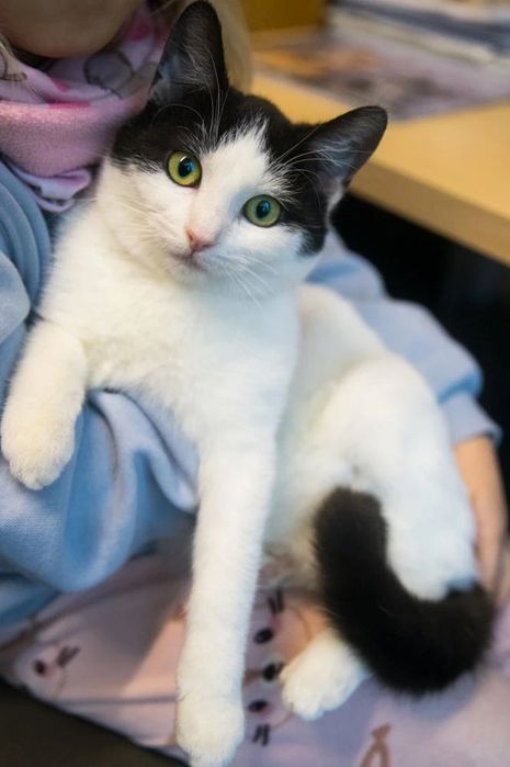 Merida szuka kochającego człowieka