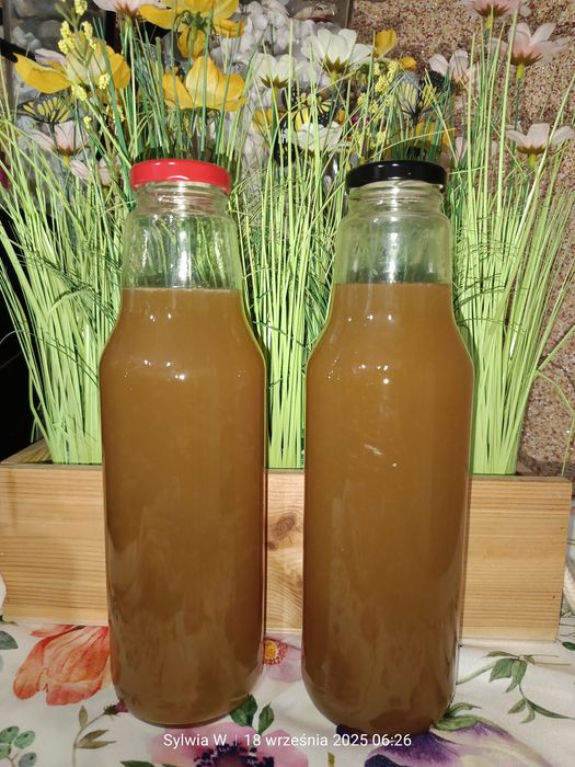 Syrop z mięty i cytryny
