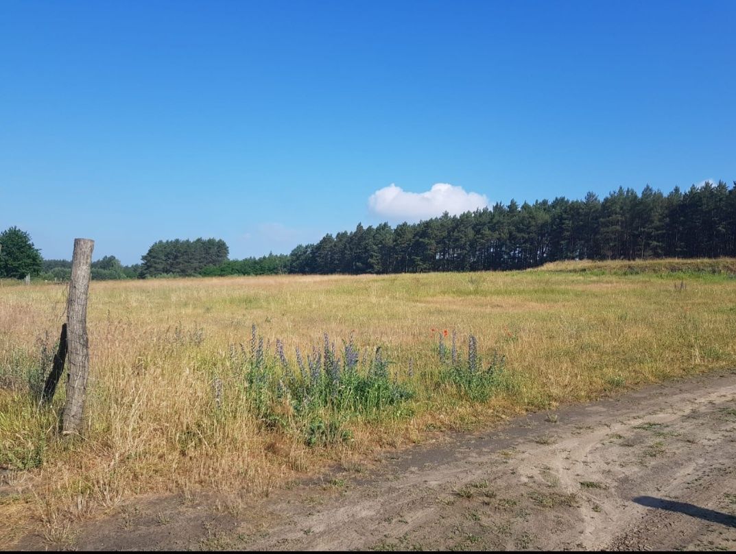 Działka rolno-budowlana duża 0,35ha przy Zielonej Górze / PłaskiDach !