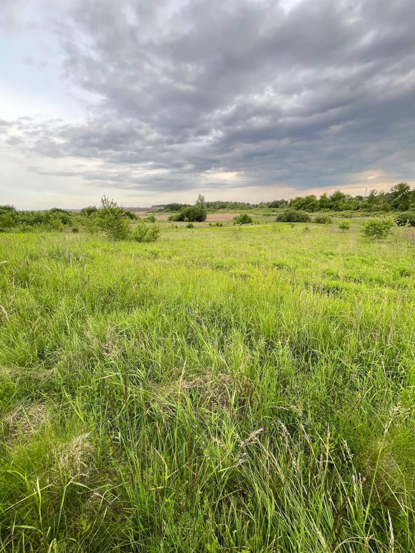 Продам земельну ділянку під садівництво біля Львова | 1 лінія |