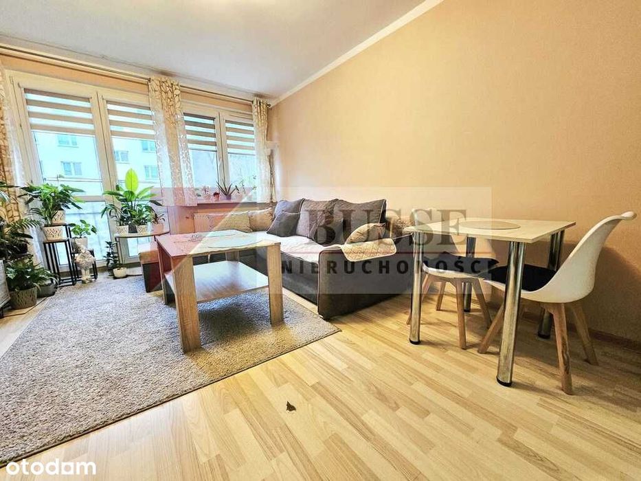 2 pokoje na 1 piętrze w niskim bloku!