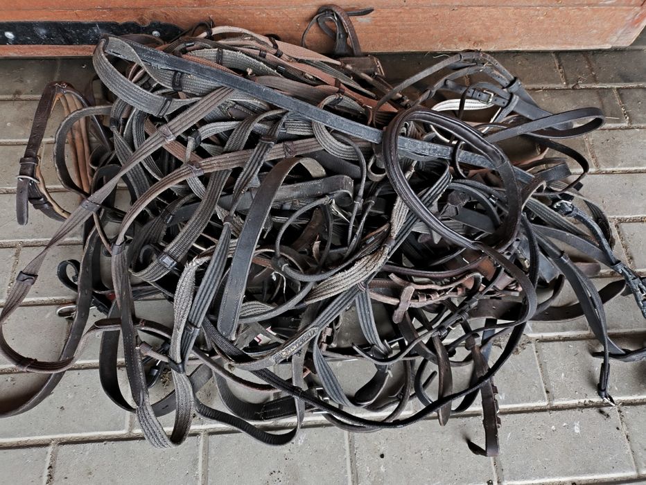 Sprzęt jeździecki skórzany